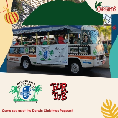 Darwin Christmas Pageant Small 